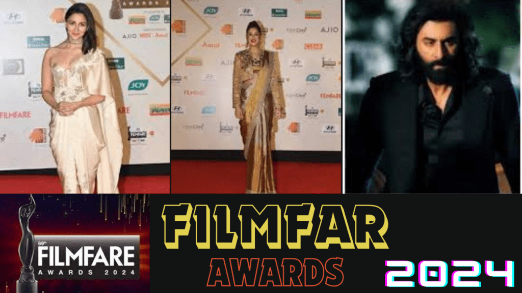 Filmfare Awards 2024 pic